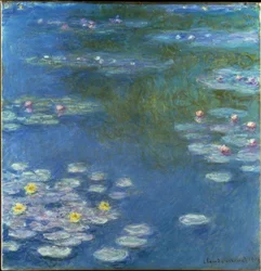 Nymfeer
